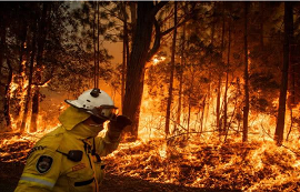 基于LoRa技术的智能森林防火系统，保护大自然免受侵害！