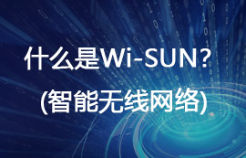 什么是Wi-SUN无线网络？